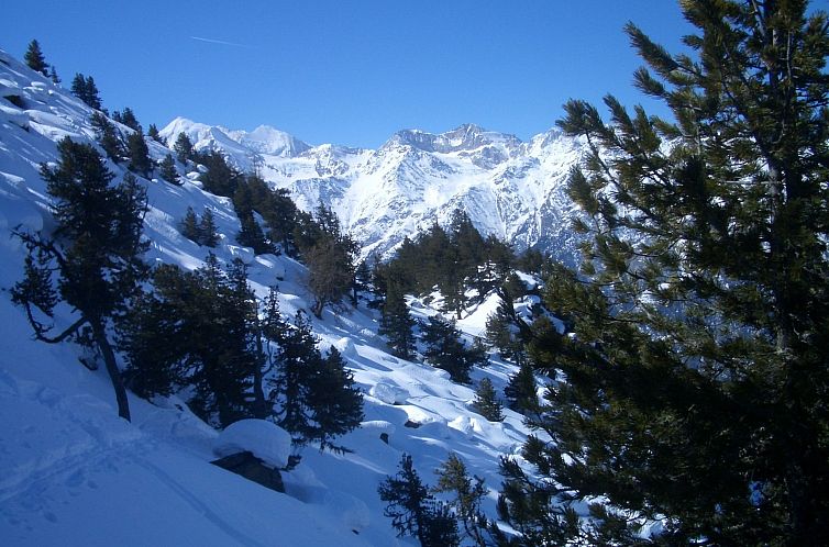 Appartement Chalet Ferienwohnungen Schwalbennest Moos Gräch