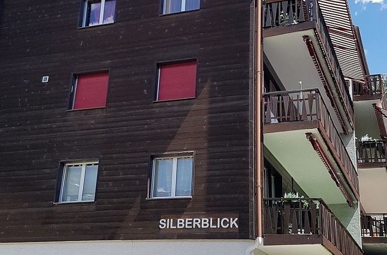 Appartement Silberblick, (Grächen). Studio "Drieri" 10319