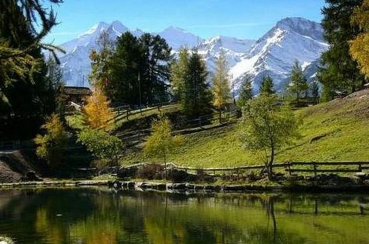 Appartement Silberblick, (Grächen). Studio "Drieri" 10319