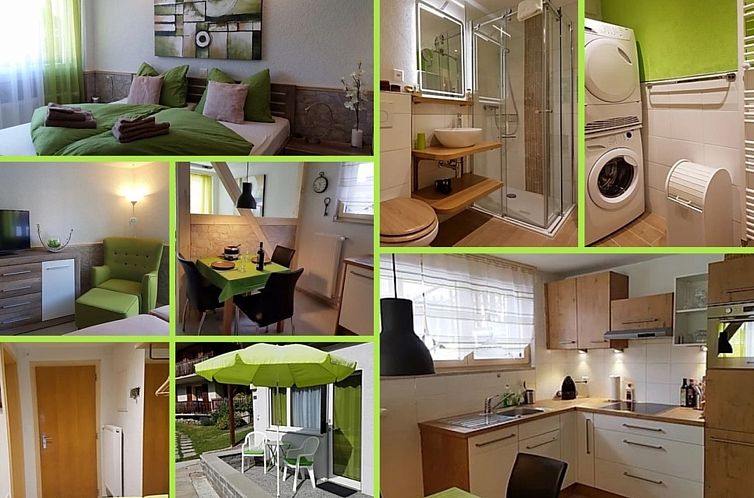 Appartement Silberblick, (Grächen). Studio "Drieri" 10319