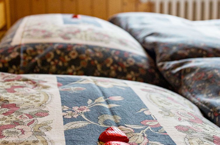 Guest house 1841070 - Apartment Wallis / Valais - Appartement Bergtreu, (Grächen),