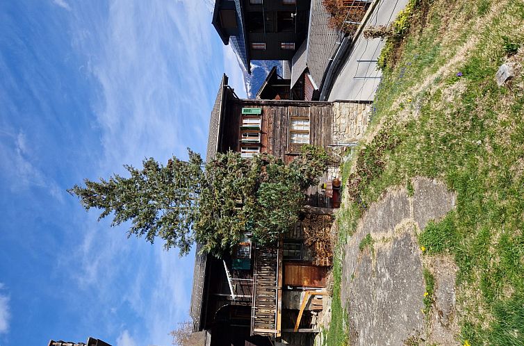 Appartement Dorfstrasse 97 2. OG Süd