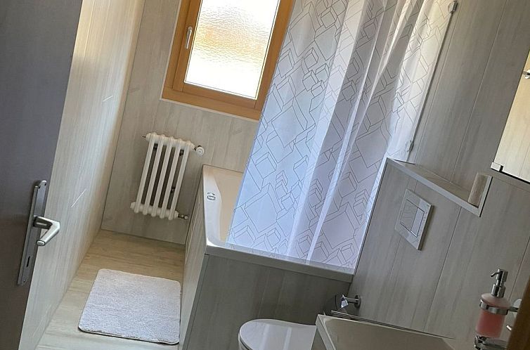 Appartement Miranda, (Grächen),