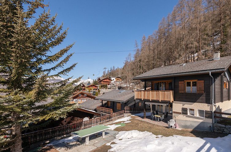 Appartement Dominique, (Grächen), 1013