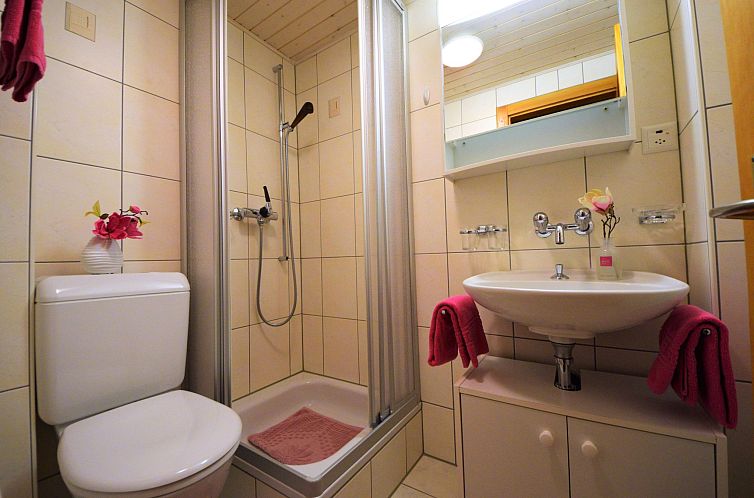 Appartement Zur Heimat, (Grächen),