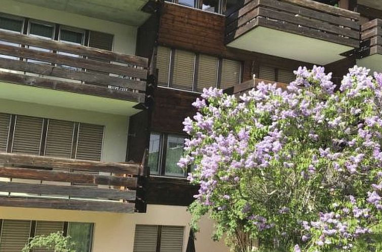 Appartement Nr.25,Haus Azurit, (Grächen), 1010