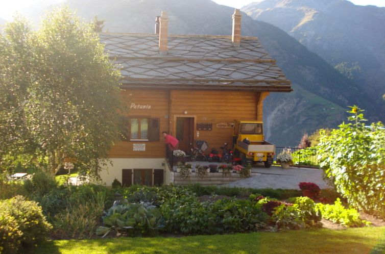 Appartement Chalet Petunia, (Grächen), 1116