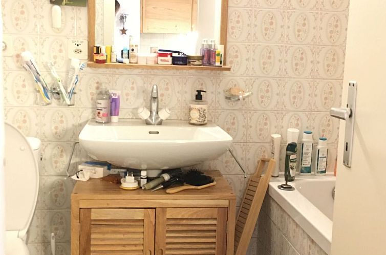 Appartement Studio Chalet