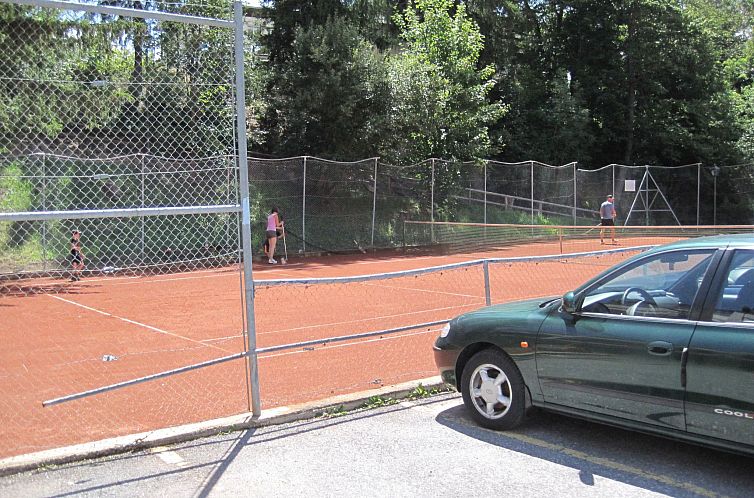 Appartement Studio Chalet