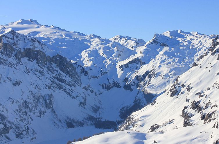 Appartement Studio Chalet