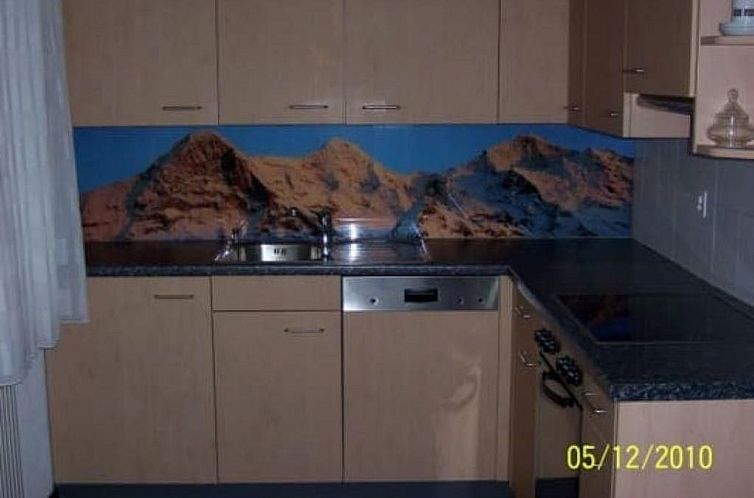 Appartement mit Bergblick