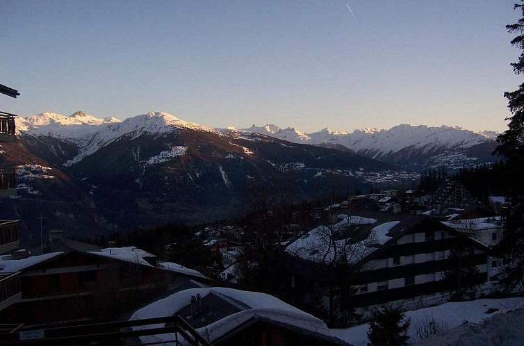 Vakantiehuis Chalet Adler
