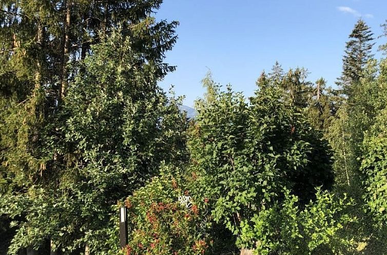 Vakantiehuis Chalet Mein Traum