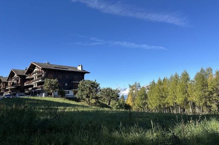 Appartement Les Mayens de l'Ours - 4 Vallées