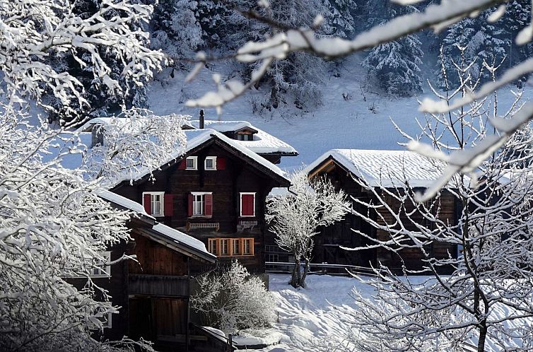 Appartement LuxLax 2. OG Süd