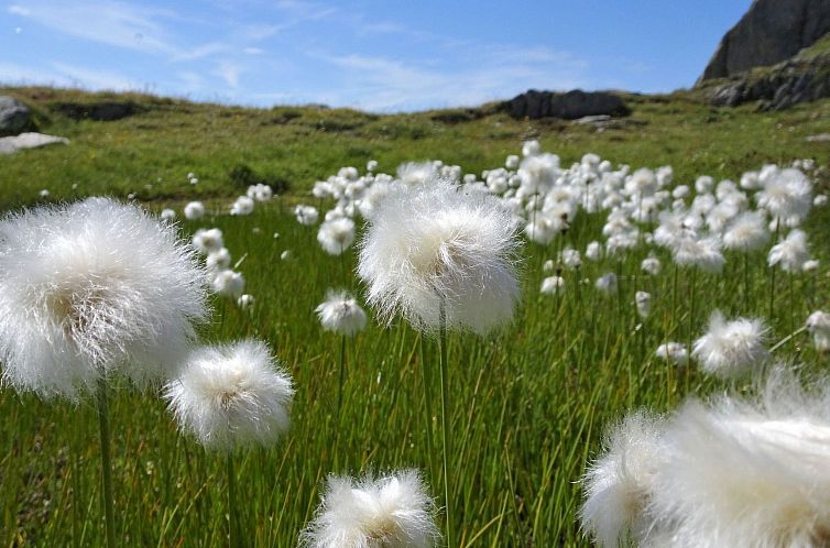 Appartement LuxLax 2. OG Süd