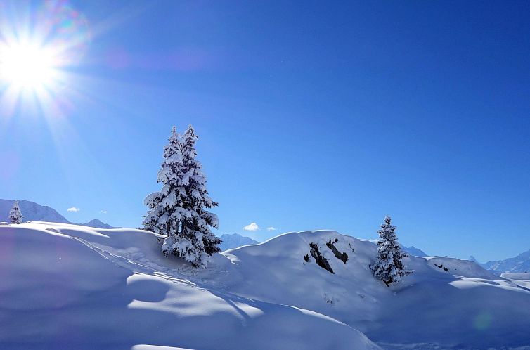 Appartement LuxLax 2. OG Süd