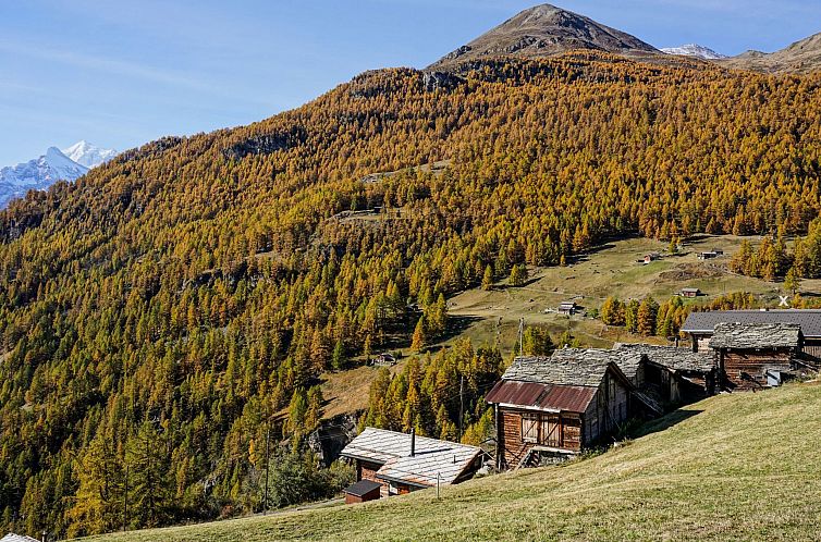 Vakantiehuis Chalet 1679