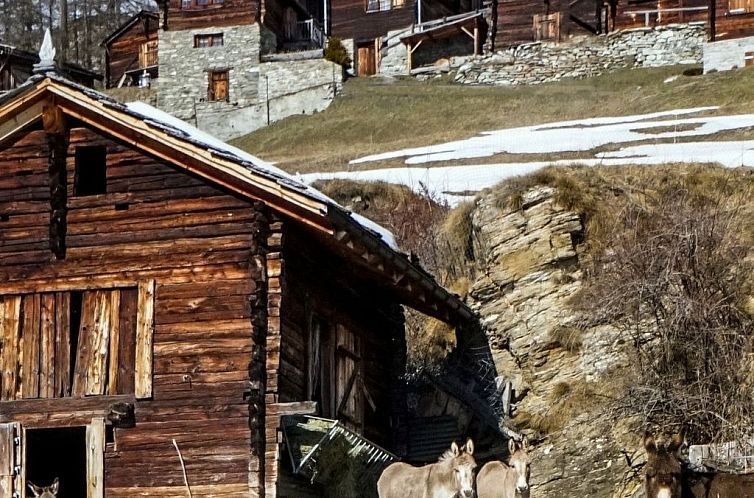 Vakantiehuis Chalet 1679