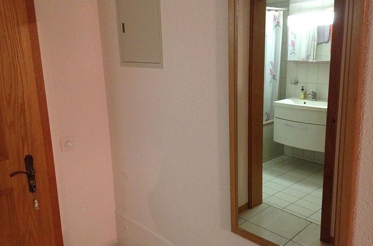 Appartement in Unterbäch