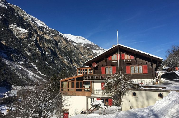 Appartement Chalet Veilchen