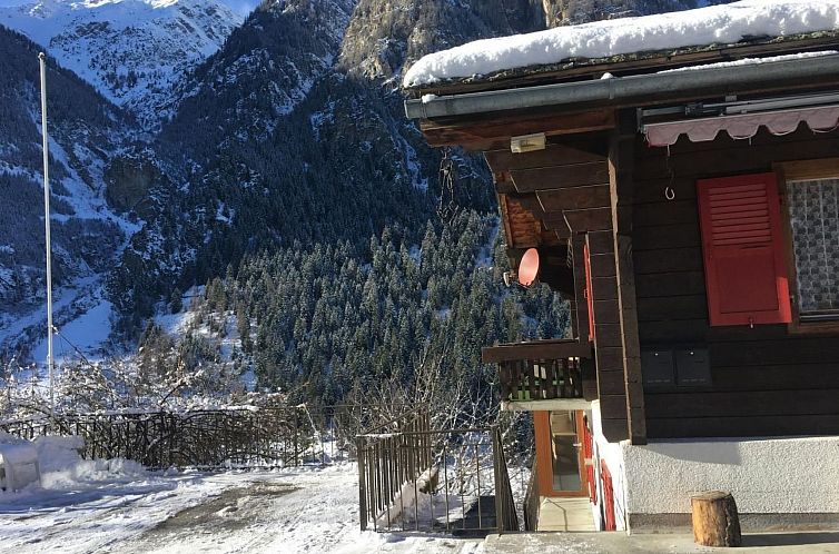 Appartement Chalet Veilchen