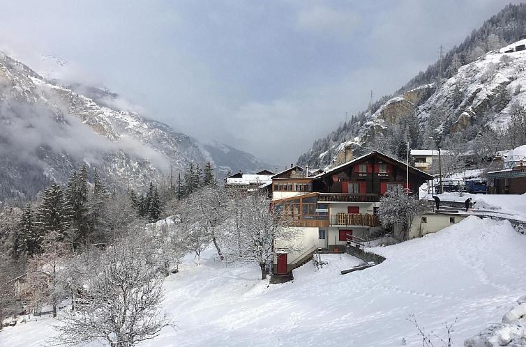 Appartement Chalet Veilchen