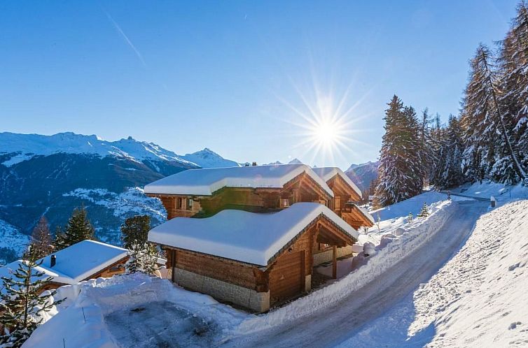 Vakantiehuis Luxuriöses Chalet mit privatem Spa und großem