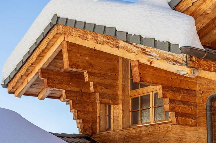 Vakantiehuis Luxuriöses Chalet mit privatem Spa und großem