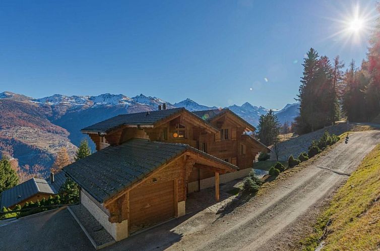 Vakantiehuis Luxuriöses Chalet mit privatem Spa und großem