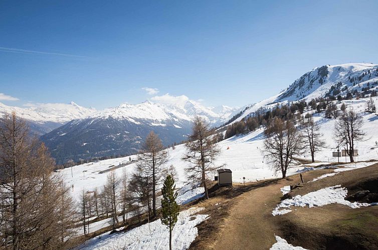 Appartement Greppon 17