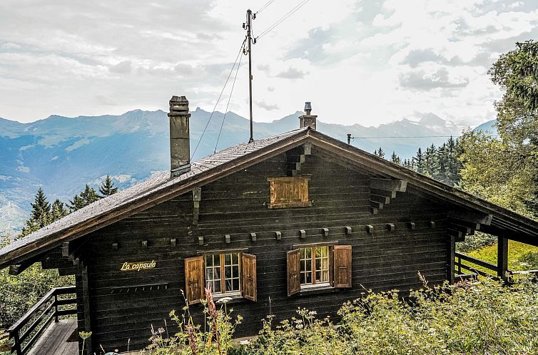 Unterkunft 18415530 - Ferienhaus Wallis - Vakantiehuis La Capsule