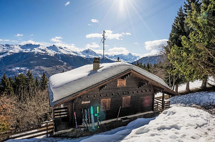 Vakantiehuis La Capsule