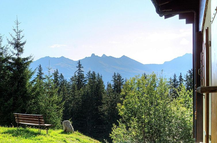 Vakantiehuis Chalet Altitude 1900