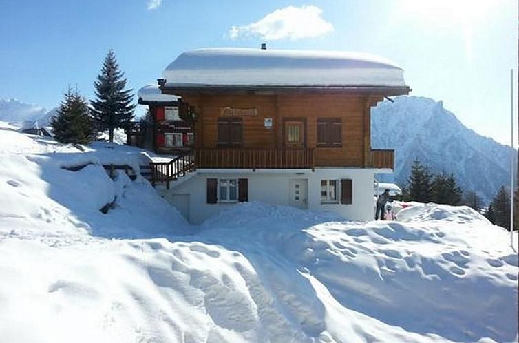 Appartement Adlerhorst