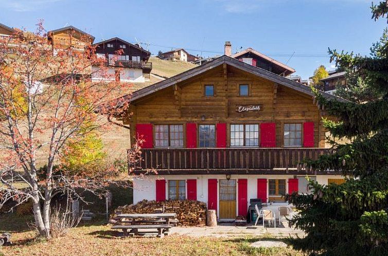 Appartement Chalet Elisabeth 6-Bettwohnung, Dusche, WC 6-Bet