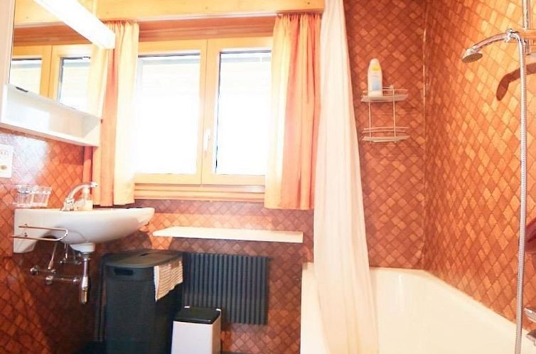 Appartement Hockenhorn