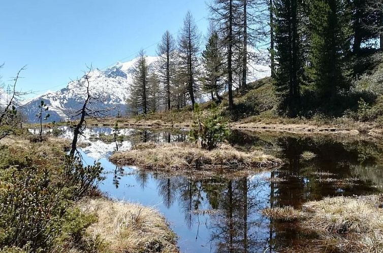 Appartement Moosalpe A