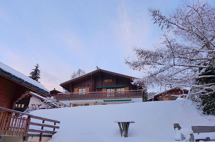 Appartement Chalet Papillon
