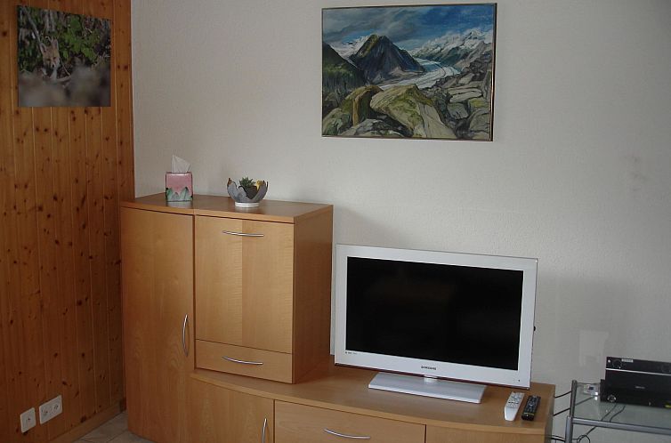 Appartement Matten EG Süd