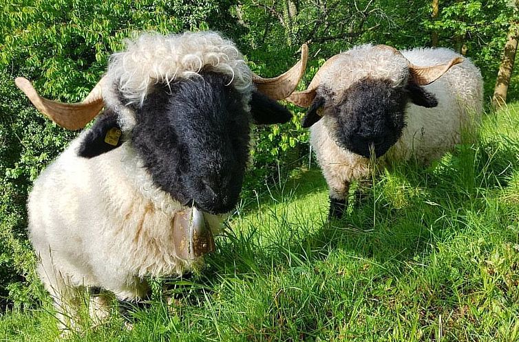 Appartement Sandgrube 2. OG Süd