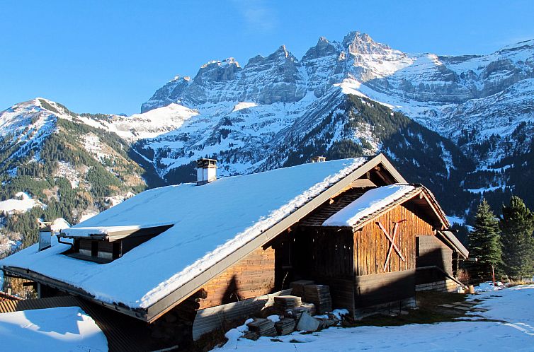 Appartement Chalet Anthamatten