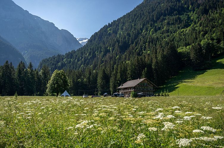 Appartement La Chotte du Musher, (Champery),