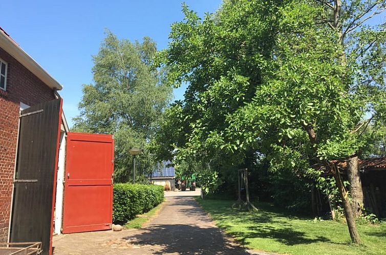 Huisje in Zuidlaarderveen