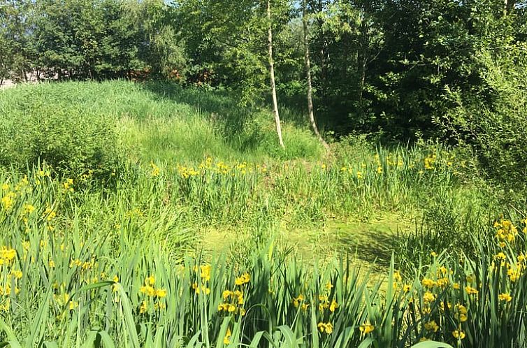 Huisje in Zuidlaarderveen