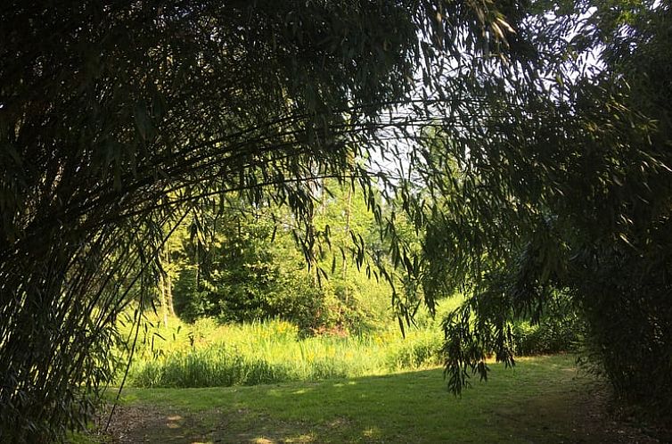 Huisje in Zuidlaarderveen