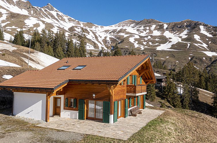 Vakantiehuis Martens