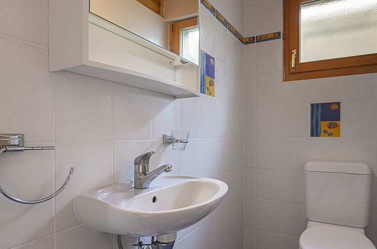 Vakantiehuis Naulaz