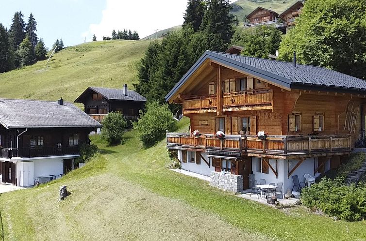 Appartement Chalet "Ecureuil" in den Portes du Soleil im Wal