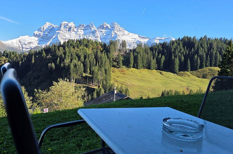 Appartement Chalet "Ecureuil" in den Portes du Soleil im Wal